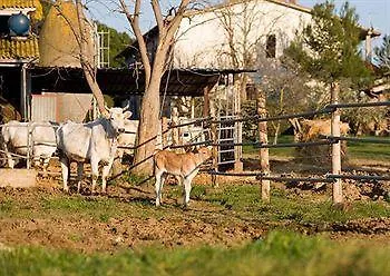 Agriturismo Al Girasole San Donato  0*, San Donato (Tuscany)